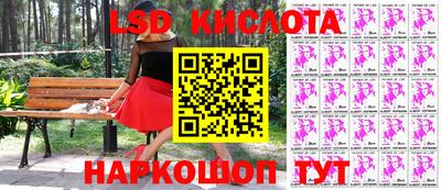 молекула духа Будённовск