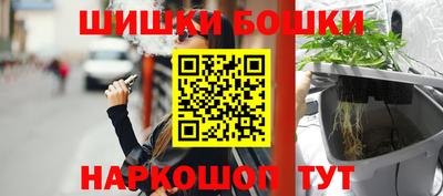 молекула духа Будённовск